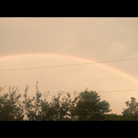 Meet your Posher, Cheyanne - Picture 1 of 1